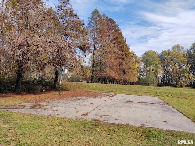 20366 Noisy Goose Ln, Olive Branch, IL 62969 - view of green lawn with community basketball court