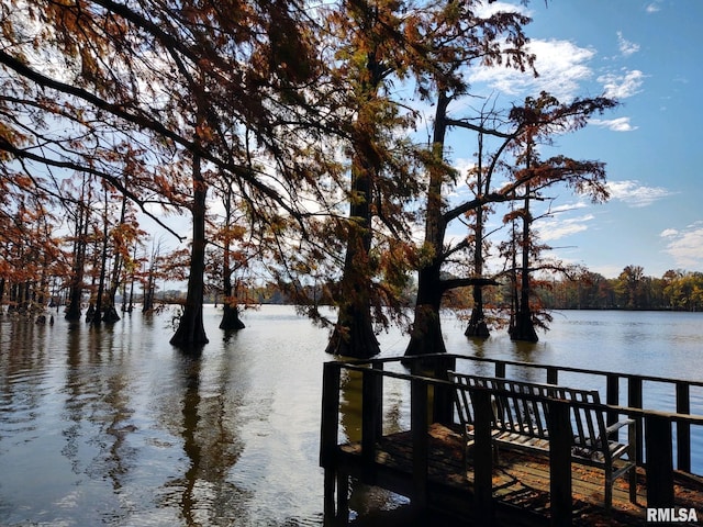 20366 Noisy Goose Ln, Olive Branch, IL 62969 - dock featuring a water view