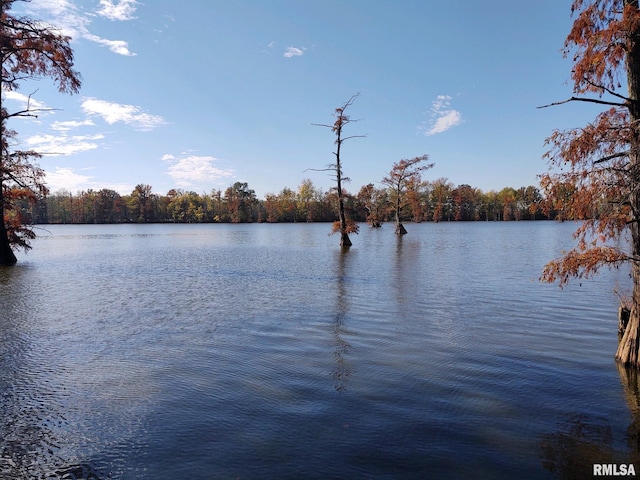 20366 Noisy Goose Ln, Olive Branch, IL 62969 - water view featuring a forest