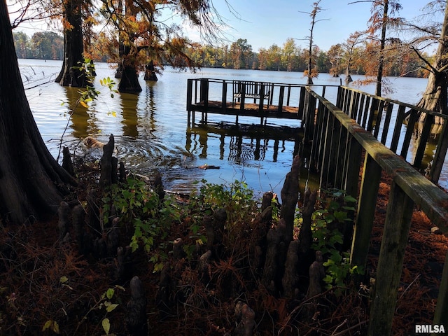 20366 Noisy Goose Ln, Olive Branch, IL 62969 - dock featuring a water view