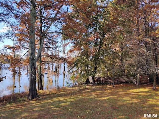 20366 Noisy Goose Ln, Olive Branch, IL 62969 - view of green lawn featuring a water view