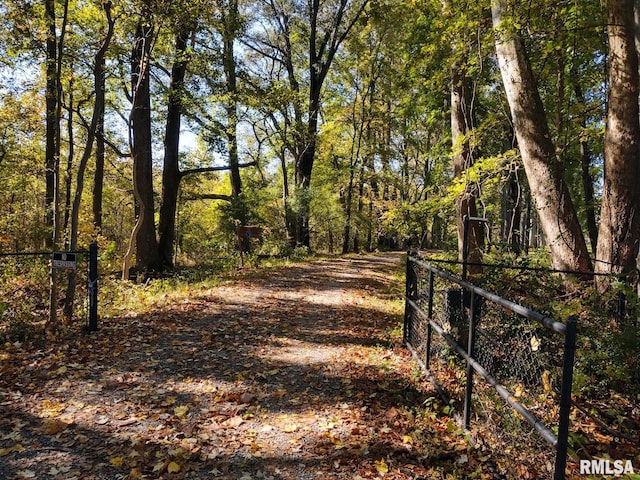 20366 Noisy Goose Ln, Olive Branch, IL 62969 - view of street with a gated entry