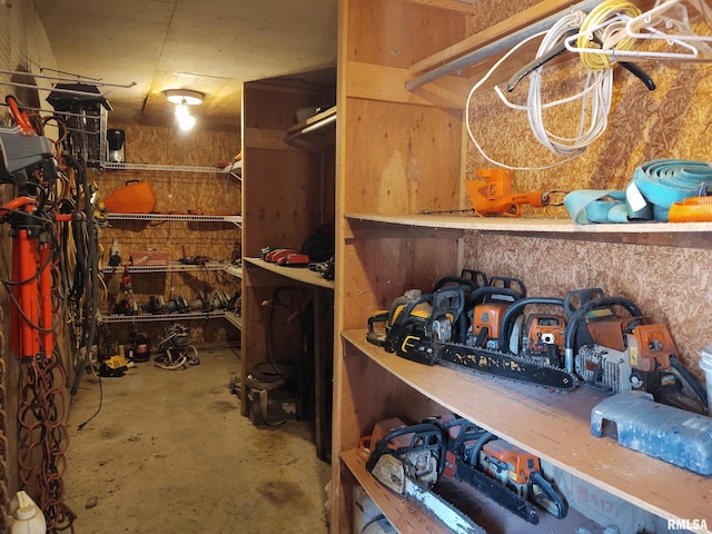 20366 Noisy Goose Ln, Olive Branch, IL 62969 - view of storage area
