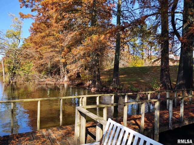 20366 Noisy Goose Ln, Olive Branch, IL 62969 - dock with a water view