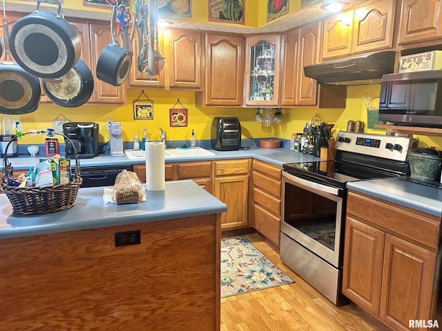 kitchen with stainless steel appliances, light hardwood / wood-style floors, and sink