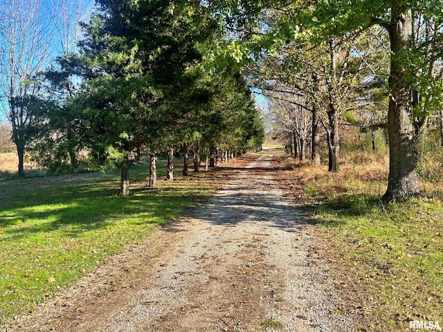 view of road with a rural view