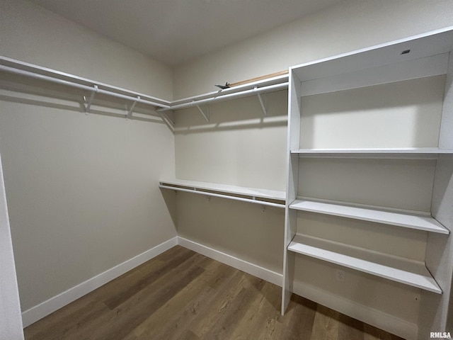 spacious closet featuring dark hardwood / wood-style flooring