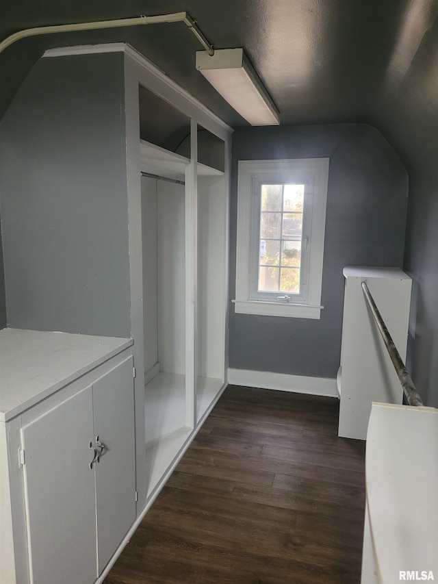 walk in closet with dark hardwood / wood-style flooring and lofted ceiling