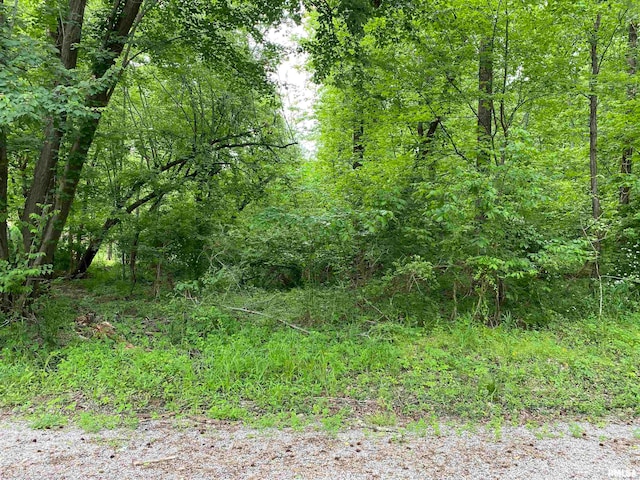 LOT4 Choctaw Dr, Carbondale, IL 62901