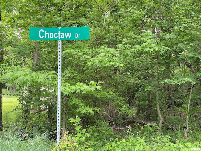 LOT4 Choctaw Dr, Carbondale, IL 62901