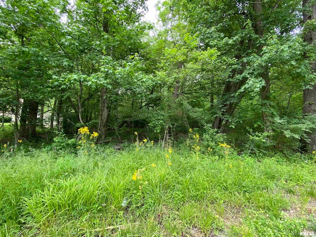 LOT4 Choctaw Dr, Carbondale, IL 62901