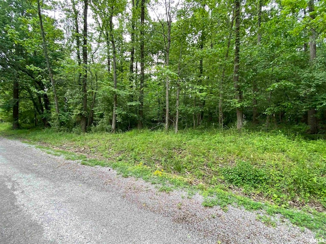 LOT4 Choctaw Dr, Carbondale, IL 62901