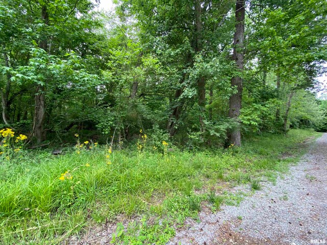 LOT4 Choctaw Dr, Carbondale, IL 62901