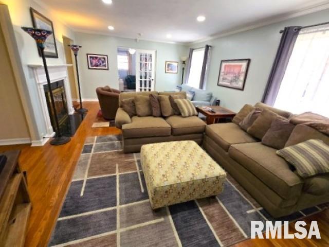 living room featuring dark hardwood / wood-style floors and ornamental molding