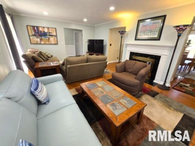 living room featuring hardwood / wood-style floors and crown molding