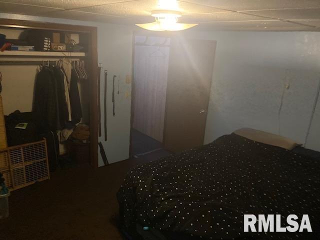 102 W 3rd St, Ina, IL 62846 - bedroom featuring a closet