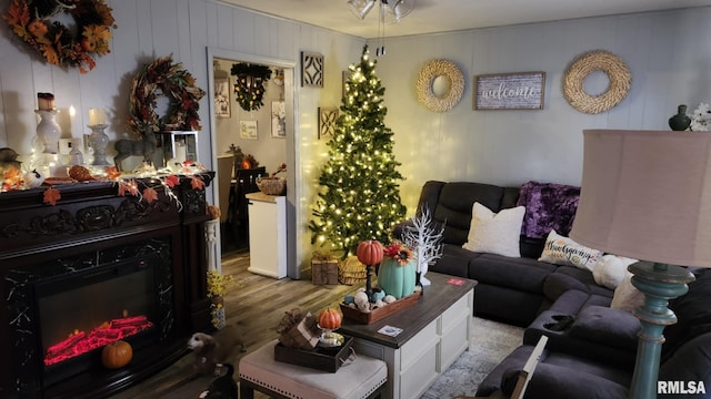 living room with ceiling fan and hardwood / wood-style flooring