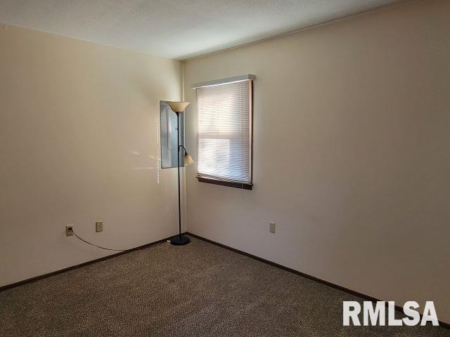 empty room featuring carpet, electric panel, and baseboards