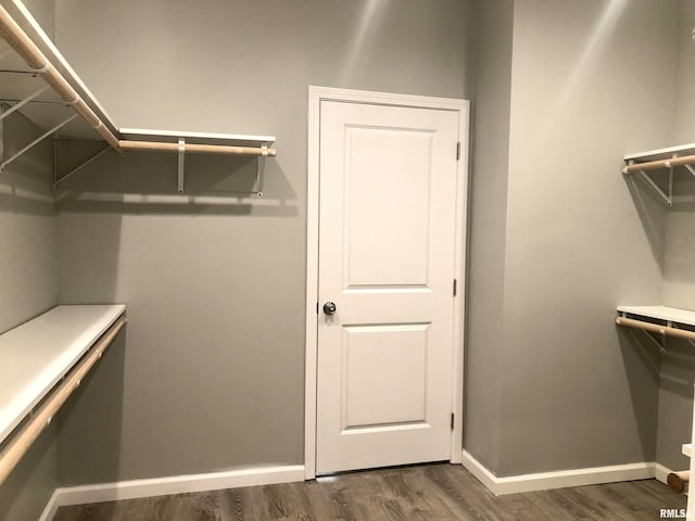 walk in closet featuring dark hardwood / wood-style flooring