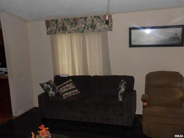 living room with dark hardwood / wood-style flooring