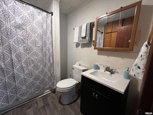 202 S Elm St, Cambria, IL 62915 - bathroom featuring wood finished floors, vanity, toilet, and a shower with shower curtain