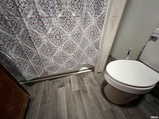 202 S Elm St, Cambria, IL 62915 - bathroom featuring wood finished floors and toilet