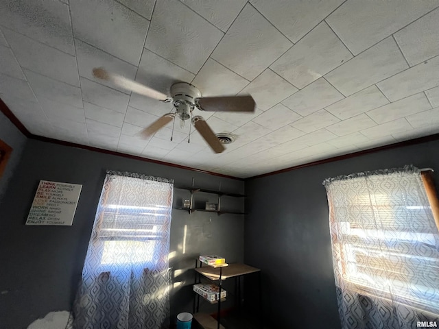 interior space featuring crown molding and ceiling fan