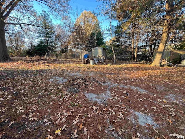 view of yard with a storage shed