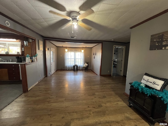 202 S Elm St, Cambria, IL 62915 - corridor with wood finished floors and crown molding