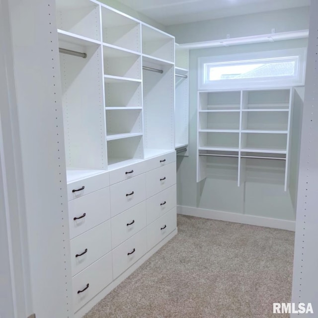 walk in closet featuring light colored carpet