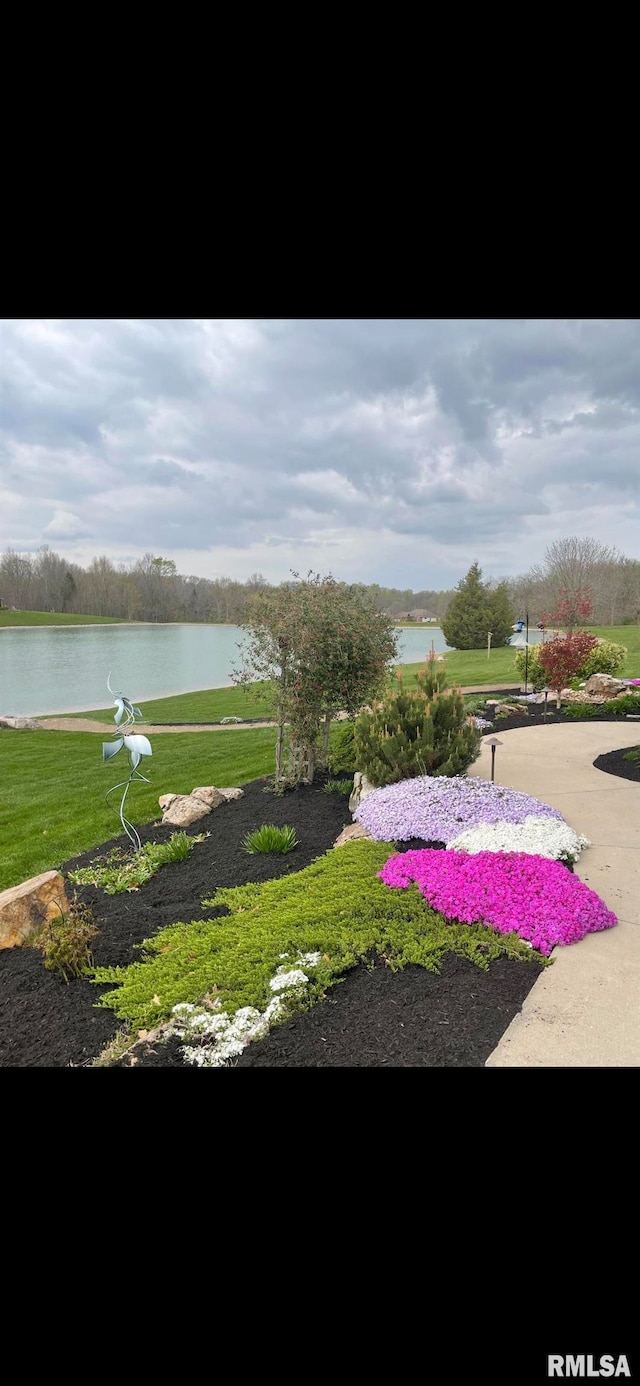 view of home's community with a water view and a lawn