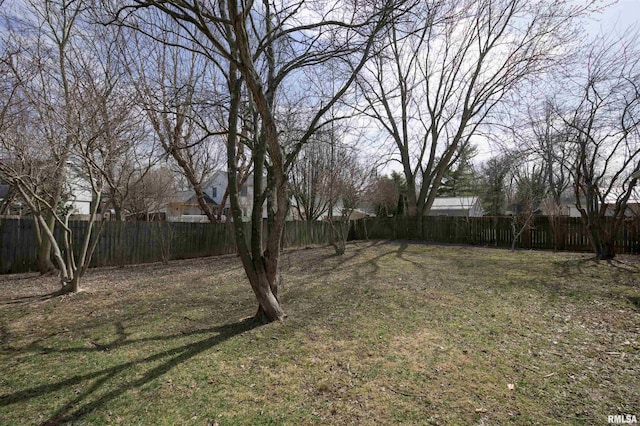 view of yard with a fenced backyard