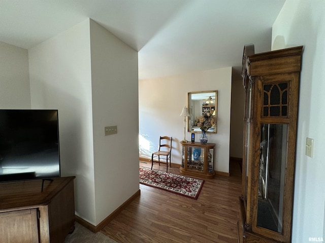 living room featuring dark hardwood / wood-style floors