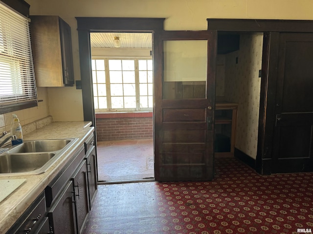 kitchen with sink and dark brown cabinets