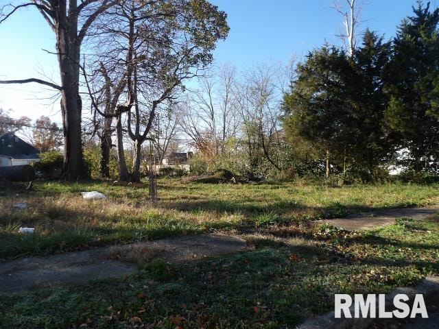 851 Madison St, Eldorado IL, 62930 land for sale