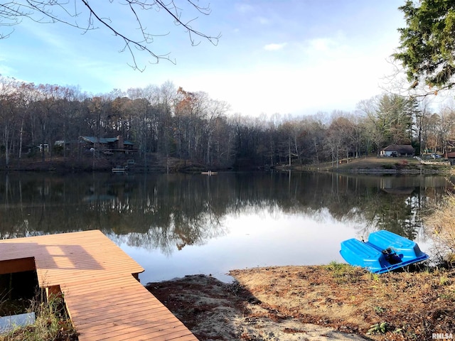 dock area with a water view