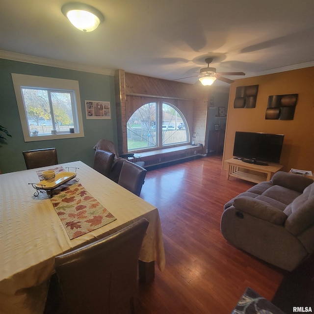 dining space with crown molding, ceiling fan, and dark wood-type flooring