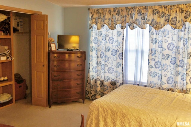 bedroom with carpet flooring and a closet