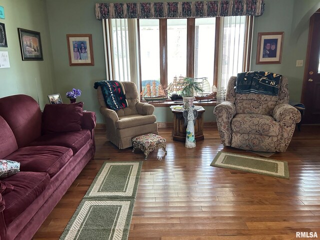 living room with hardwood / wood-style floors