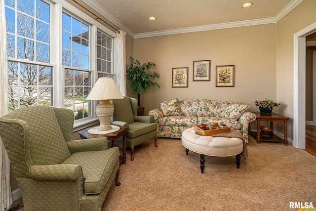 carpeted living room featuring a textured ceiling and ornamental molding