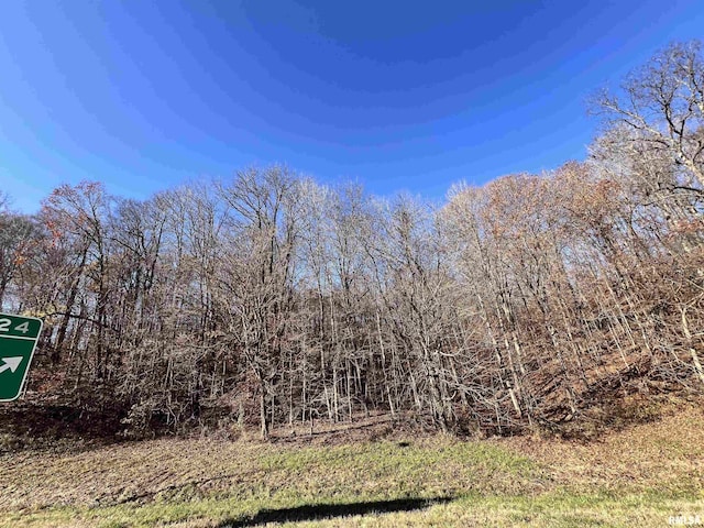 001 US Highway 51st Rd, Dongola, IL 62926