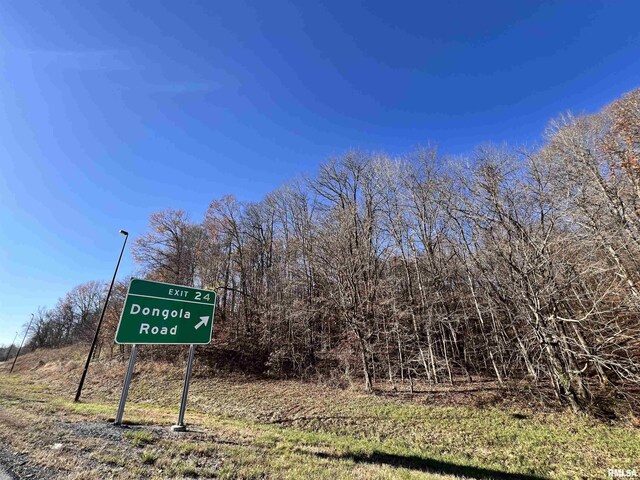 001 US Highway 51st Rd, Dongola, IL 62926