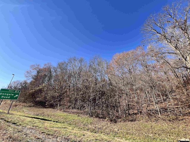 001 US Highway 51st Rd, Dongola, IL 62926