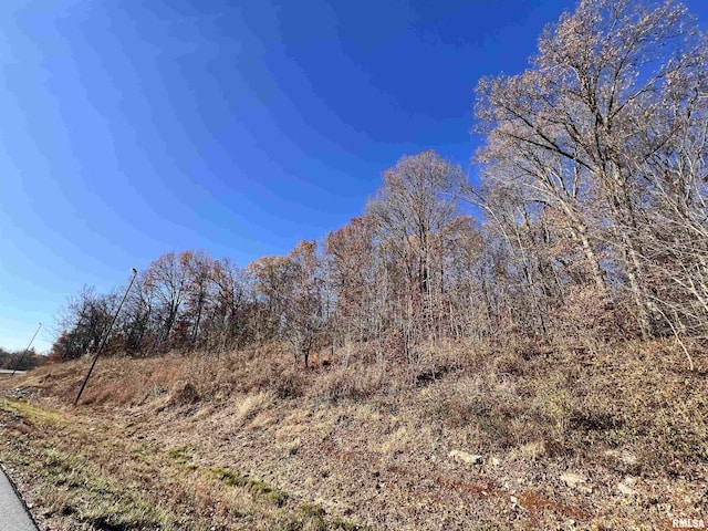 001 US Highway 51st Rd, Dongola, IL 62926