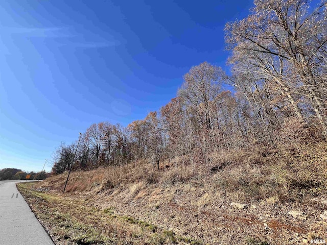001 US Highway 51st Rd, Dongola, IL 62926