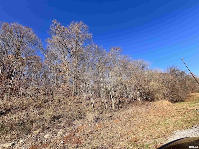 001 US Highway 51st Rd, Dongola, IL 62926