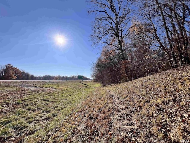 001 US Highway 51st Rd, Dongola, IL 62926