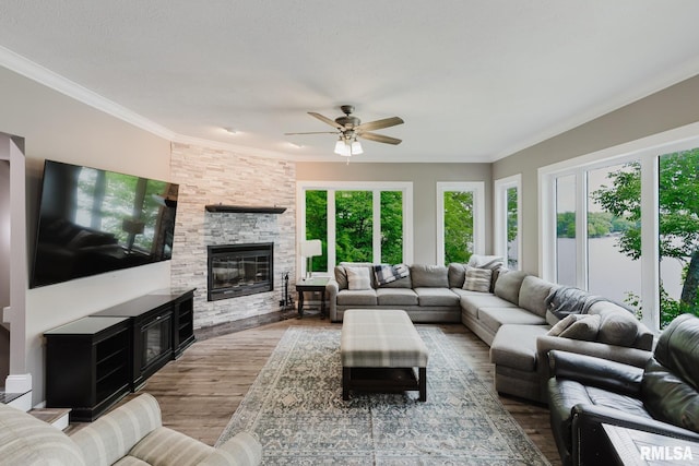 12225 Pebble Point Rd, Marion, IL 62959 - living area with wood finished floors, ceiling fan, a fireplace, and crown molding