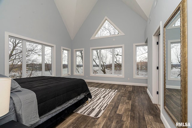 bedroom with multiple windows, high vaulted ceiling, and dark wood-type flooring