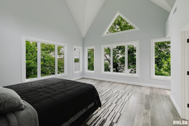 12225 Pebble Point Rd, Marion, IL 62959 - bedroom with high vaulted ceiling, wood finished floors, and baseboards